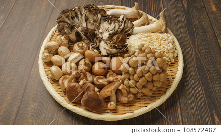 什錦菇│杏鮑菇、舞茸、花菇、金針菇、香菇、菇 108572487