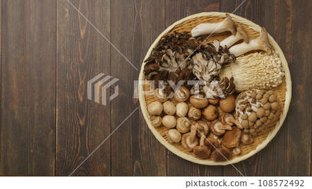 Assorted mushrooms│Eringi mushrooms, maitake mushrooms, bunshimeji mushrooms, enoki mushrooms, shiitake mushrooms, mushrooms 108572492
