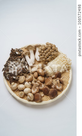 什錦菇│杏鮑菇、舞茸、花菇、金針菇、香菇、菇 什錦菇│杏鮑菇、舞茸、花菇、金針菇、香菇、菇 108572498
