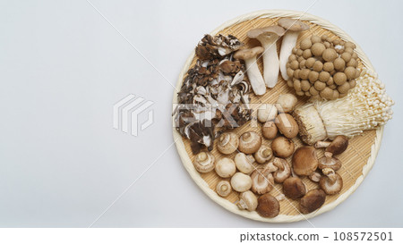 什錦菇│杏鮑菇、舞茸、花菇、金針菇、香菇、菇 什錦菇│杏鮑菇、舞茸、花菇、金針菇、香菇、菇 108572501