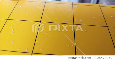 聚集成黃色的粉蝨不需使用農藥即可消滅。 108572959