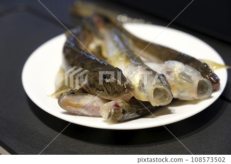 黃鰭刺鰕虎魚 108573502