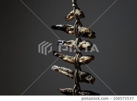 烤蝦虎魚 108573537