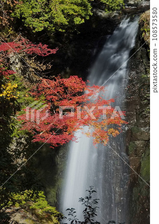 Takano Falls in autumn. Beautiful autumn leaves at the sacred waterfall of Mt. Koya. 108573580