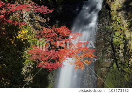 Takano Falls in autumn. Beautiful autumn leaves at the sacred waterfall of Mt. Koya. 108573582