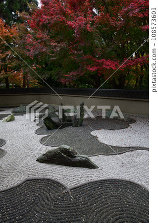 Autumn leaves of Tofukuji 108573601