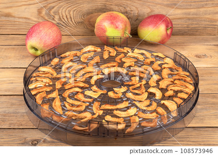 Dried apples in the plastic section of the dryer for vegetables and fruits and ripe apples on a wooden background. 108573946