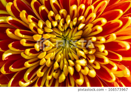 Gigantic Gigantic 108573967