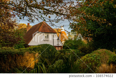 Autumn (fall) scene in England with a tree and bushes in the foreground and houses behind. Autumn (fall) scene in England with a tree and bushes in the foreground and houses behind. 108574022