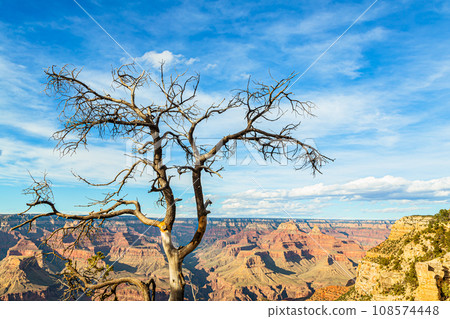 Grand Canyon National Park in Arizona, USA Grand Canyon National Park in Arizona, USA 108574448