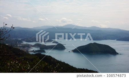 與雞一起探索該地區 與雞一起探索該地區 108574873