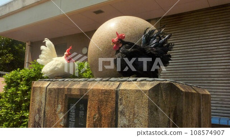 與雞一起探索該地區 108574907