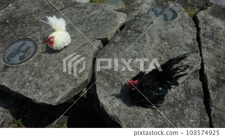 Exploring the area with chickens Exploring the area with chickens 108574925