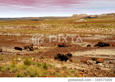 Rugged and Desolate Landscape Petrified Forest Arizona Rugged and Desolate Landscape Petrified Forest Arizona 108575000