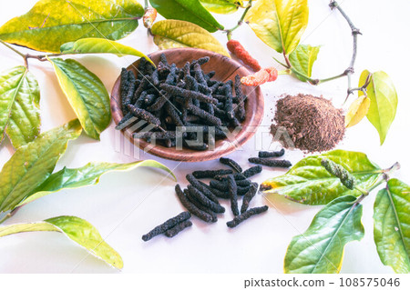 Hihatsu powder image Hihatsu powder image 108575046