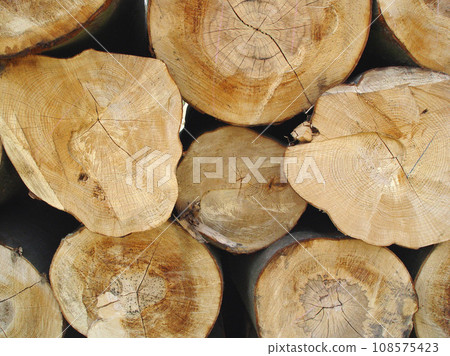 Trees, background and stack of wood in circle for deforestation, sustainability and timber material. Closeup, ring patterns and log texture in environment, plant ecology and lumber industry in nature Trees, background and stack of wood in circle for deforestation, sustainability and timber material. Closeup, ring patterns and log texture in environment, plant ecology and lumber industry in nature 108575423