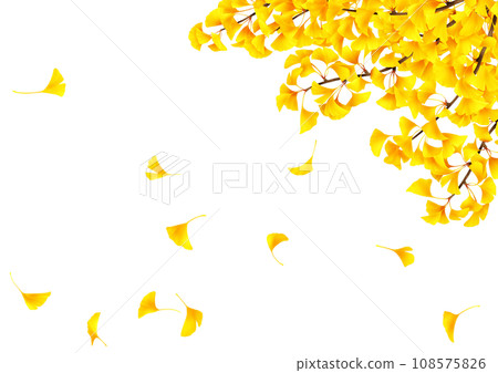 銀杏樹枝和落葉的框架 108575826