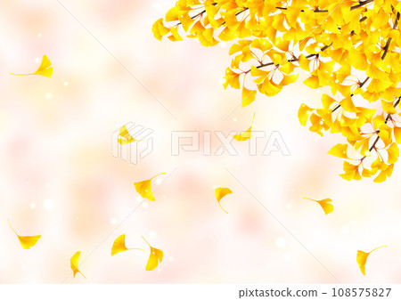 銀杏樹枝和落葉的背景 108575827