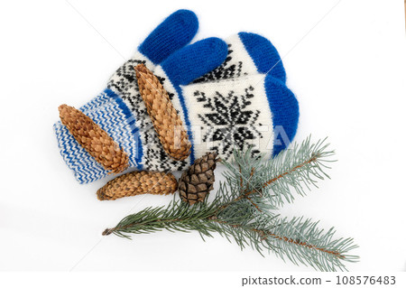 Christmas mittens are isolated on a white background 108576483