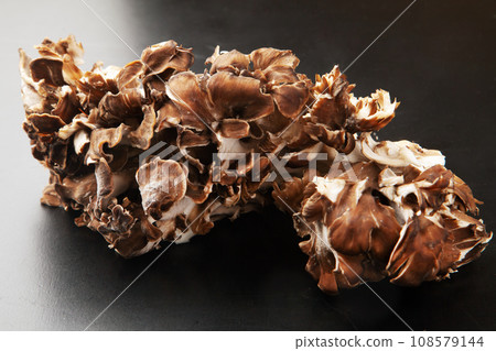 Maitake Maitake 108579144