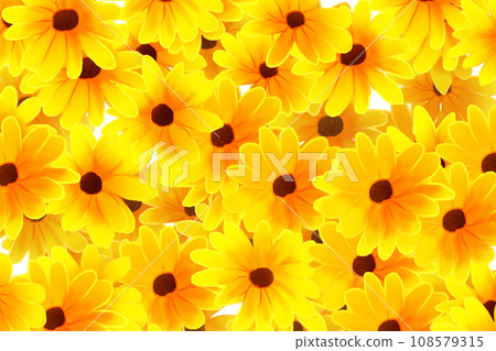 金光菊花卡2 108579315