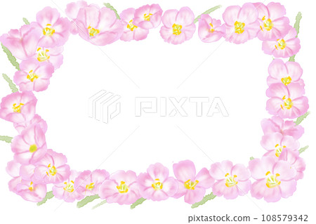 白天盛開的月見草花卡4 白天盛開的月見草花卡4 108579342