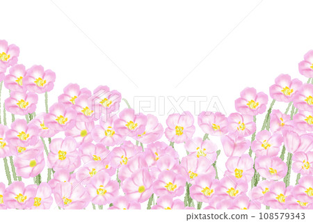Daytime blooming evening primrose flower card 5 108579343