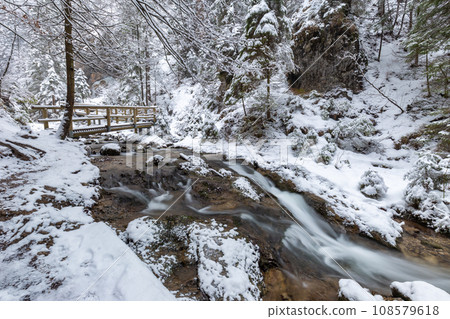 Winter landscape with a wild stream and waterfalls. Winter landscape with a wild stream and waterfalls. 108579618