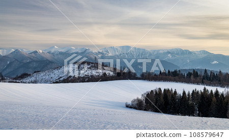 Winter snowy landscape with mountains in background. Winter snowy landscape with mountains in background. 108579647