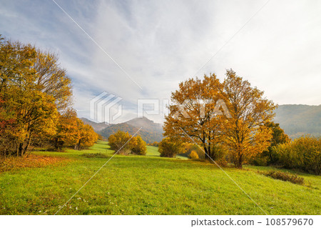 Colorfull trees in autumn foggy landscape. Colorfull trees in autumn foggy landscape. 108579670