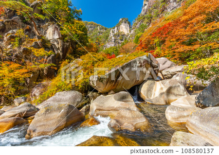 Autumn Shosenkyo - Spectacular valley (Yamanashi Prefecture) 108580137