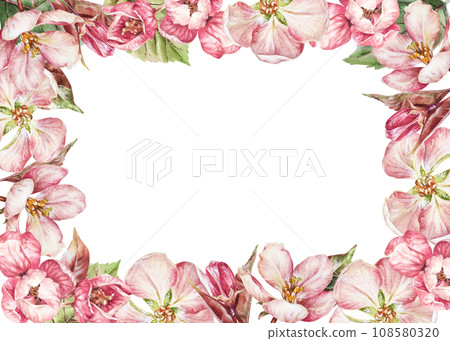 Pink Flower Frame border. Watercolor botanical illustration of apple and cherry tree blossom. Hand drawn sakura bloom on white background. Drawing of spring bouquet. Greeting card copy space Pink Flower Frame border. Watercolor botanical illustration of apple and cherry tree blossom. Hand drawn sakura bloom on white background. Drawing of spring bouquet. Greeting card copy space 108580320