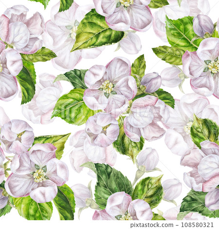 White Flower seamless Pattern. Watercolor botanical illustration of apple and cherry blossom. Hand drawn blossoming fruit tree branch. Drawing of floral background for paper and fabric design 108580321