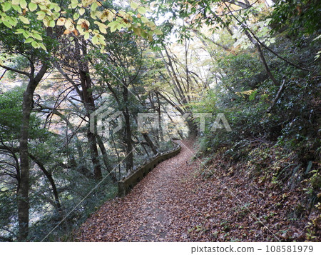11月的三段峽美景 11月的三段峽美景 108581979
