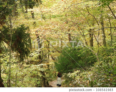 11月的三段峽美景 11月的三段峽美景 108581983