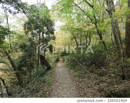 11月的三段峽美景 11月的三段峽美景 108581984