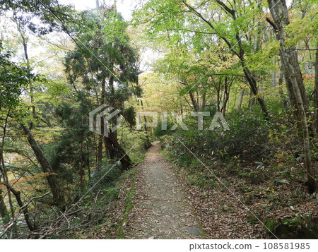 11月的三段峽美景 108581985