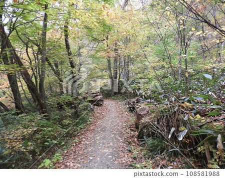 11月的三段峽美景 108581988