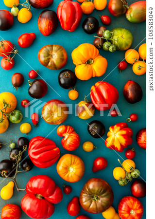 Tomatoes on an emerald green background Tomatoes on an emerald green background 108583049