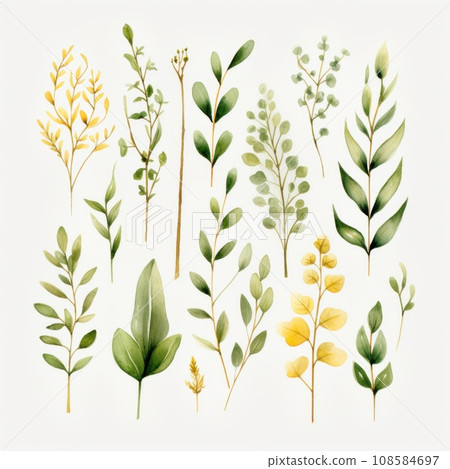 Watercolor tropical floral illustration set with green leaves and greenery  108584697