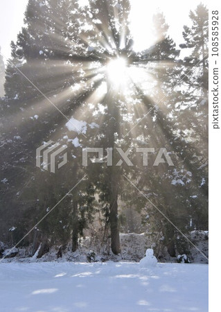 Snowmen and rays of light at Nozawa Onsen Ski Resort Snowmen and rays of light at Nozawa Onsen Ski Resort 108585928