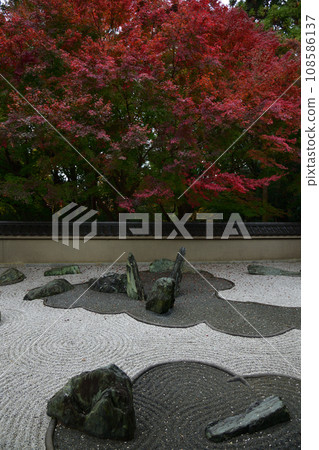 Autumn leaves of Tofukuji Autumn leaves of Tofukuji 108586137
