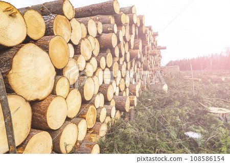 deforestation for roads, wood harvesting, wood as a renewable biological resource, deforestation area for highways, construction of toll roads, land acquisition for the construction of a major road deforestation for roads, wood harvesting, wood as a renewable biological resource, deforestation area for highways, construction of toll roads, land acquisition for the construction of a major road 108586154