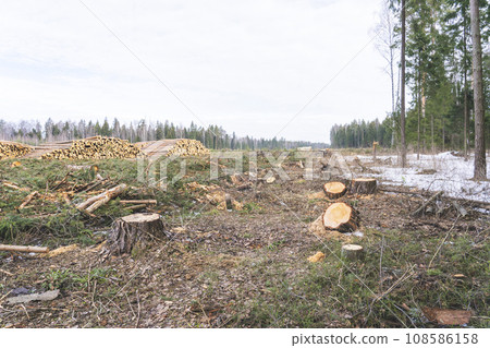 deforestation for roads, wood harvesting, wood as a renewable biological resource, deforestation area for highways, construction of toll roads, land acquisition for the construction of a major road 108586158