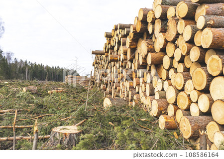 deforestation for roads, wood harvesting, wood as a renewable biological resource, deforestation area for highways, construction of toll roads, land acquisition for the construction of a major road 108586164