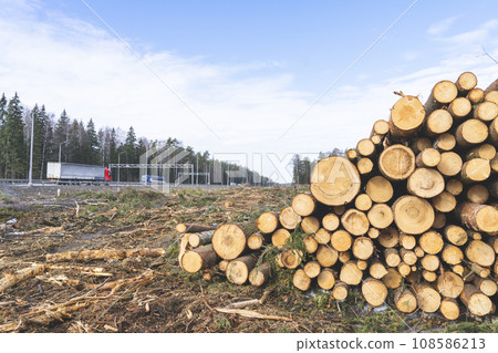 deforestation for roads, wood harvesting, wood as a renewable biological resource, deforestation area for highways, construction of toll roads, land acquisition for the construction of a major road 108586213