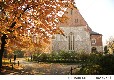 Autumn landscape - autumn city park with fallen yellow autumn leaves and autumn trees Autumn landscape - autumn city park with fallen yellow autumn leaves and autumn trees 108587381