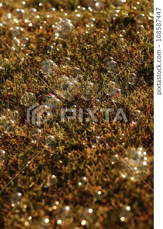 soap bubbles on the grass. selective focus. 108587447