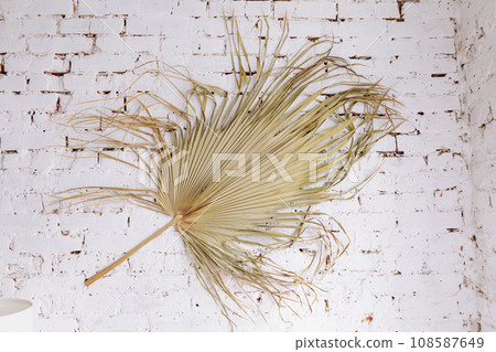 Dry tropical exotic palm leaf on white brick wall background. Flat lay, top view minimalist floral pattern aesthetic composition. Summer time concept. 108587649