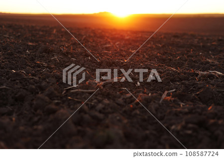 Agriculture and agribusiness concept. Beautiful rural landscape view of large plowed agricultural field of black soil on orange sunset. Preparation farmland for sowing crops and planting vegetables. 108587724